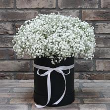 Цветочная композиция из Гипсофила в шляпной коробке в Чесноковка