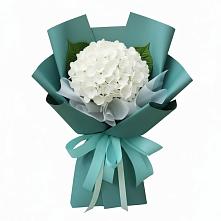 Букет цветов из:  Гортензия в Чесноковка